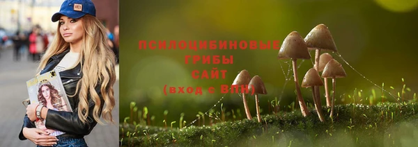винт Каменка