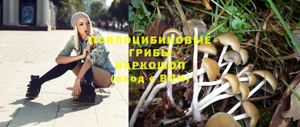 гидропоника Карталы