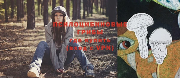 винт Каменка