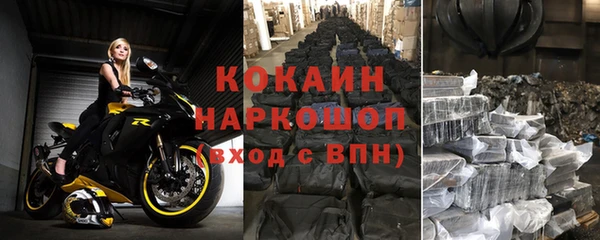 винт Каменка