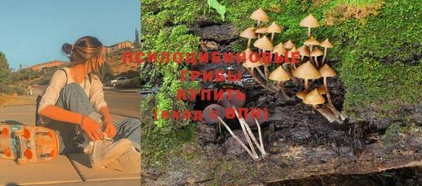гидропоника Карталы