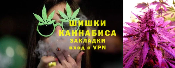МДПВ Карпинск