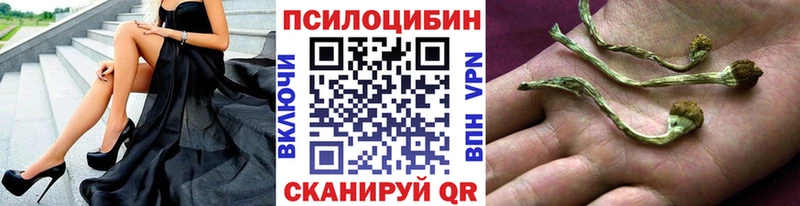 Галлюциногенные грибы Magic Shrooms  Купить закладки  Нефтегорск 