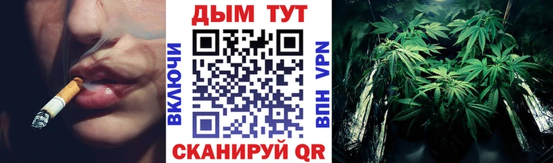 Купить где  Нефтегорск  Канабис индика 